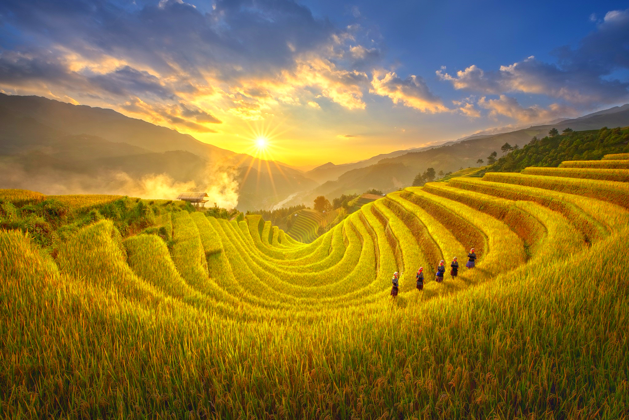 Giới thiệu về web